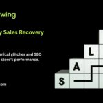 shopify store not getting sales