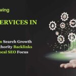SEO Services in USA